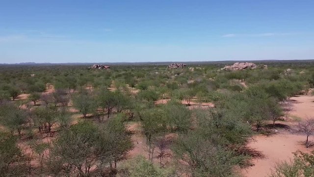 The village of the native tribe Himba in Namibia and the view on the forest