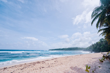 Tranquil vacation. Tropical beach resort with coconut palms.