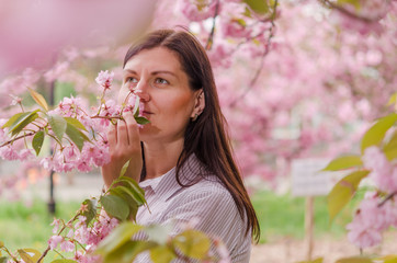 A young Caucasian girl enjoys the aroma and beauty of cherry blossoms.