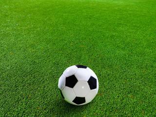 Fototapeta premium Soccer ball on the grass of a soccer field