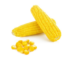 corn isolated on white background