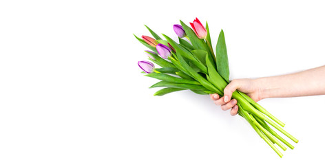 Beautiful spring bouquet of red and purple tulips in female hand isolated on white background with copy space. Spring flowers. Mothers day, womans day celebration. Web banner template. Stock photo.