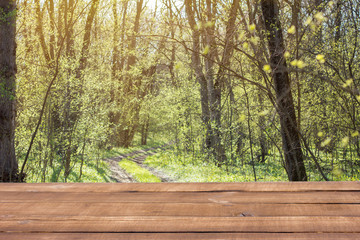 wooden table on the background of green forest