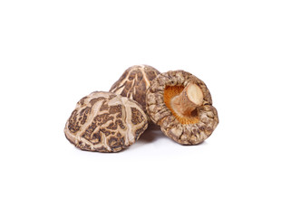 Dry Mushrooms on white background