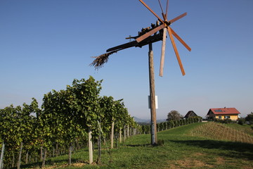 Fototapeta na wymiar Vogelscheuche (Klapotez) in der südlichen Steiermark