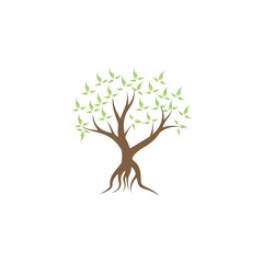 Tree icon logo template vector illustration