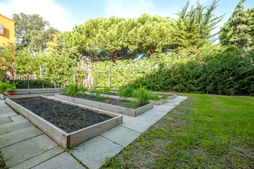 Large garden and vegetable garden with beds in the house, with a green living fence.