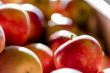 boxes of apples