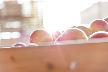 boxes of apples