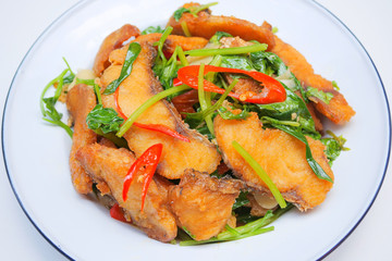 Stir fried sea bass with celery