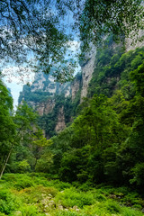 Golden Whip Stream trail in Zhangjiajie Grand Canyon, Yuanjiajie Scenic Area