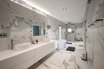 Luxury white marble bathroom with with a luxury freestanding bathtub and washbasins. Concept for...