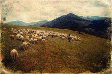 Fototapete bei efototapeten.de bestellen   