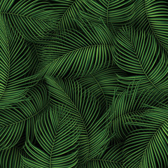 Tropical summer leaves background with jungle plants © Sleeping Carbuncle