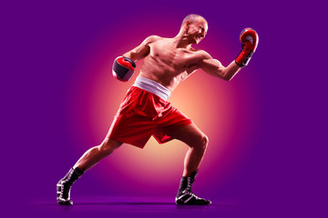 Fototapeta na wymiar colourful professional boxer isolated over purple background