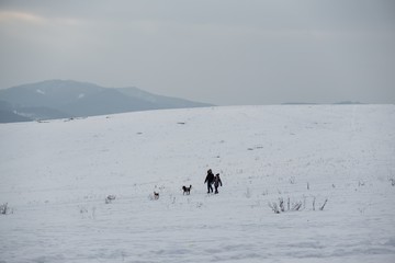 People walking and playing with the dogs on meadow or in the park during winter. Slovakia