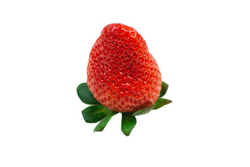 Strawberry. Fresh berries macro.