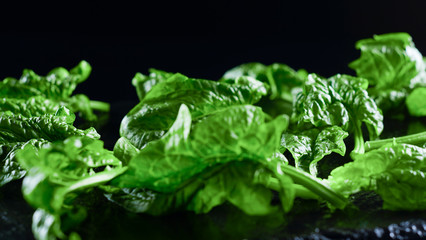 Healthy vegan food concept: close-up backlight of freshly picked green spinach leaves placed on a slate plate and black background with bokeh effect