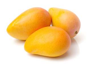 Mango on a white background