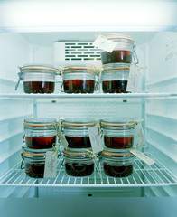 Labeled glass jars with jam in the fridge