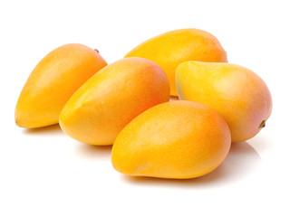 Mango on a white background