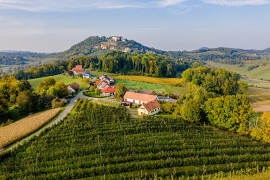 panorama view from vineyard vine Kapfenstein south styria