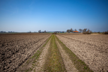 Perspective of gravel road between farm land fields