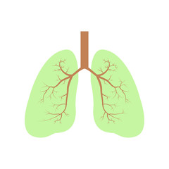 Human green lungs. Healthy lungs. Light in the form of a tree isolated on white