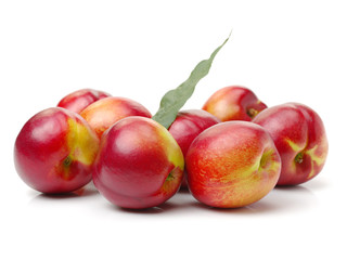 nectarine on a white background