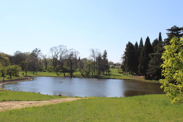 lake in the park