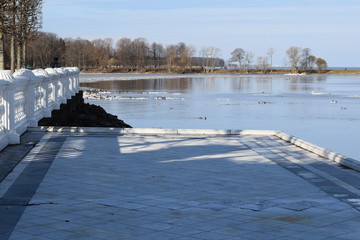 ducks in the sea among ice floes