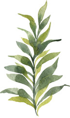 Green watercolor hand painted leaves. Isolated on white background. High resolution. Best for digital scrapbooking, wedding invitation, birthday cards, greeting, trenty design, print on textile, 