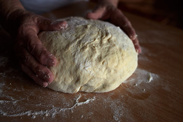 kneading dough with hands close-up.