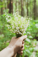 Beautiful white lilies of the valley in man's hand in the green spring sunny forest day. Spring, april, may, nature, beautiful plants