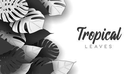 Tropical summer leaves background with jungle plants