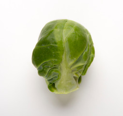 Fototapeta premium One brussels sprouts close up isolated on white background