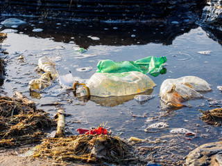 Plastic bottles washed up on beach by the incoming tide cover the entire beach