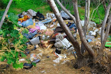 Pile of garbage in forest, trash left by illegal immigrants at coastal site of Attica in Greece