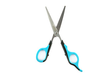 Scissors for grooming animals isolated on a white.