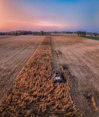 Kombajn zbierający kukurydzę, widok z lotu ptaka