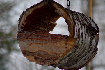 Karmik dla ptaków zrobiony z brzozowego pnia. © Tomek