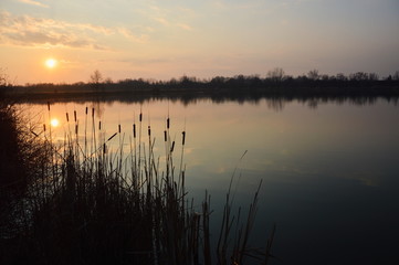 Czerwony zachód słońca na jeziorem, na pierwszym planie Tatarak. Bytom śląski Krajobraz.