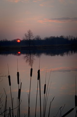 Czerwony zachód słońca na jeziorem, na pierwszym planie Tatarak. Bytom śląski Krajobraz. - obrazy, fototapety, plakaty