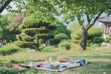 Picnic basket with fruits and bottle of juice on checkered blanket in garden