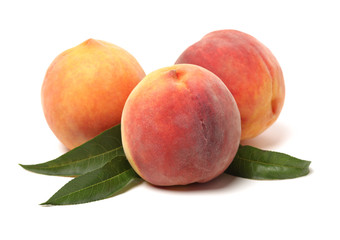 Gold Peach on a white background