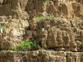 Wadi Qelt in Israel (Wandern)