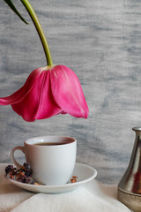 cup with coffee and pink tulip