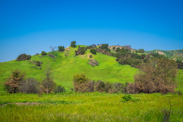 Malibu Creek State Park in the Santa Monica Mountains in spring 2019