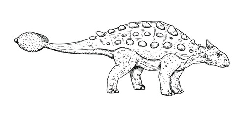 Drawing of dinosaur - hand sketch of Ankylosaurus, black and white illustration