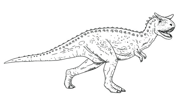 Drawing of dinosaur - hand sketch of Carnotaurus, black and white illustration